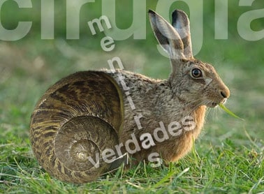 mentiras y verdades sobre el aumento de pecho mentiras y verdades sobre el aumento de pecho