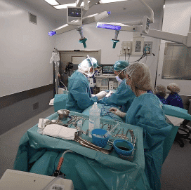 Reduccion mamaria cirugia | Dr. Vicente Paloma